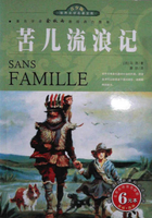 苦儿流浪记读书笔记摘抄